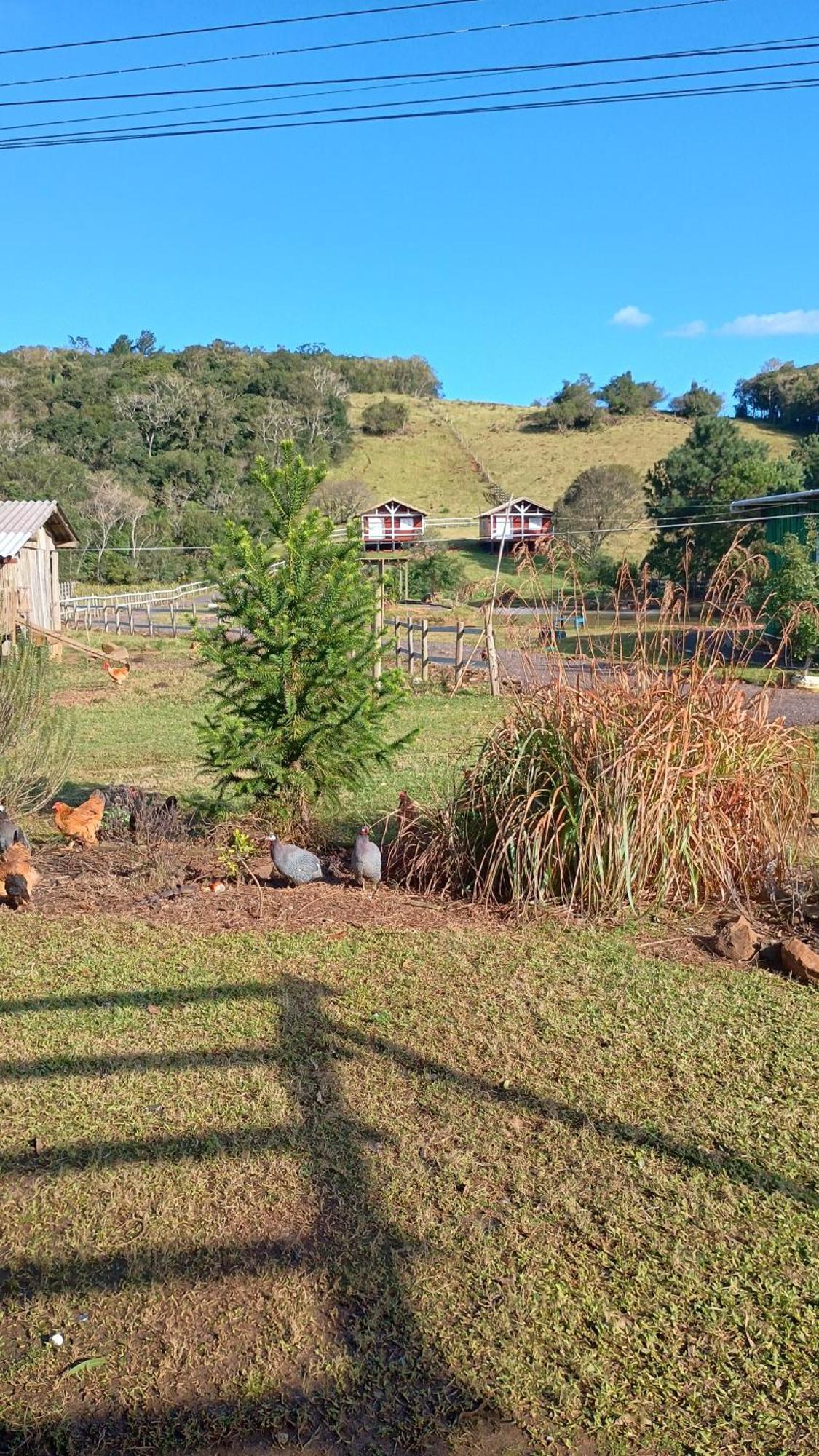 Pousada Rancho Do Lago Osorio Cameră foto
